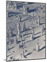 Skiing Through the Snowghosts at Whitefish Mountain Resort, Montana, USA-Chuck Haney-Mounted Photographic Print