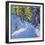 Skiing Through the Woods, La Clusaz, 2012-Andrew Macara-Framed Giclee Print