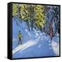 Skiing Through the Woods, La Clusaz, 2012-Andrew Macara-Framed Stretched Canvas