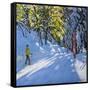 Skiing Through the Woods, La Clusaz, 2012-Andrew Macara-Framed Stretched Canvas