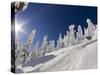 Skiing Untracked Powder at Whitefish Mountain Resort, Montana, Usa-Chuck Haney-Stretched Canvas