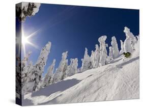 Skiing Untracked Powder at Whitefish Mountain Resort, Montana, Usa-Chuck Haney-Stretched Canvas