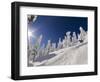 Skiing Untracked Powder at Whitefish Mountain Resort, Montana, Usa-Chuck Haney-Framed Photographic Print