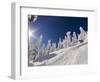 Skiing Untracked Powder at Whitefish Mountain Resort, Montana, Usa-Chuck Haney-Framed Photographic Print