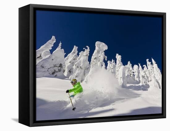 Skiing Untracked Powder on a Sunny Day at Whitefish Mountain Resort, Montana, Usa-Chuck Haney-Framed Stretched Canvas