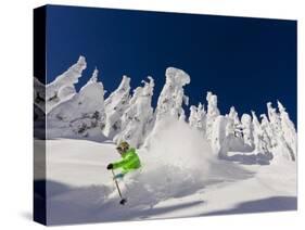 Skiing Untracked Powder on a Sunny Day at Whitefish Mountain Resort, Montana, Usa-Chuck Haney-Stretched Canvas