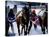 Skijouring, Skiing Behind a Race Horse at Full Gallop, on the Frozen Lake at St,Moritz, Switzerland-John Warburton-lee-Stretched Canvas