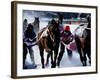 Skijouring, Skiing Behind a Race Horse at Full Gallop, on the Frozen Lake at St,Moritz, Switzerland-John Warburton-lee-Framed Photographic Print