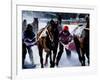 Skijouring, Skiing Behind a Race Horse at Full Gallop, on the Frozen Lake at St,Moritz, Switzerland-John Warburton-lee-Framed Photographic Print