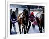 Skijouring, Skiing Behind a Race Horse at Full Gallop, on the Frozen Lake at St,Moritz, Switzerland-John Warburton-lee-Framed Photographic Print