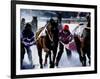 Skijouring, Skiing Behind a Race Horse at Full Gallop, on the Frozen Lake at St,Moritz, Switzerland-John Warburton-lee-Framed Photographic Print