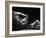 Skilled Hands of a Pediatric Surgeon at John Hopkins Hospital-null-Framed Photographic Print