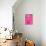 Skin Deep Pinks-Abstract Graffiti-Stretched Canvas displayed on a wall