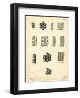 Skin Scales-null-Framed Giclee Print