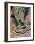 Skin Surface, SEM-Steve Gschmeissner-Framed Photographic Print