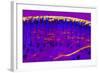 Skin Sweat Glands, Light Micrograph-Dr. Keith Wheeler-Framed Premium Photographic Print