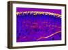 Skin Sweat Glands, Light Micrograph-Dr. Keith Wheeler-Framed Photographic Print