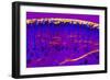 Skin Sweat Glands, Light Micrograph-Dr. Keith Wheeler-Framed Photographic Print