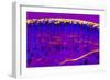 Skin Sweat Glands, Light Micrograph-Dr. Keith Wheeler-Framed Photographic Print