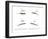 Skink-null-Framed Giclee Print