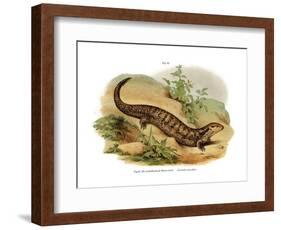 Skink-null-Framed Giclee Print