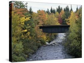 Skinner Brook, Nova Scotia, Canada-null-Stretched Canvas