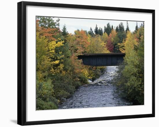 Skinner Brook, Nova Scotia, Canada-null-Framed Photographic Print