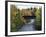 Skinner Brook, Nova Scotia, Canada-null-Framed Photographic Print