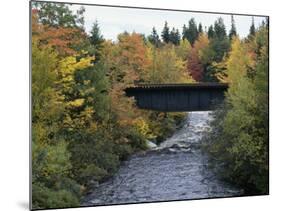 Skinner Brook, Nova Scotia, Canada-null-Mounted Photographic Print