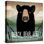 Skinny Dip Black Bear Ale-Ryan Fowler-Stretched Canvas