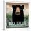 Skinny Dip Black Bear Ale-Ryan Fowler-Framed Premium Giclee Print