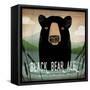 Skinny Dip Black Bear Ale-Ryan Fowler-Framed Stretched Canvas