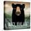 Skinny Dip Black Bear Ale-Ryan Fowler-Stretched Canvas