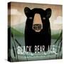 Skinny Dip Black Bear Ale-Ryan Fowler-Stretched Canvas