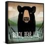 Skinny Dip Black Bear Ale-Ryan Fowler-Framed Stretched Canvas