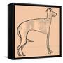 Skinny dog-Sarah Thompson-Engels-Framed Stretched Canvas