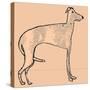 Skinny dog-Sarah Thompson-Engels-Stretched Canvas