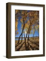 Skinny Fall-Bob Larson-Framed Giclee Print