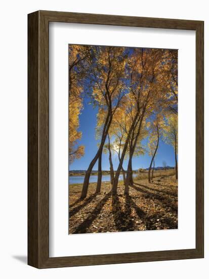 Skinny Fall-Bob Larson-Framed Giclee Print