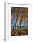 Skinny Fall-Bob Larson-Framed Giclee Print