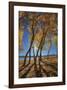 Skinny Fall-Bob Larson-Framed Giclee Print