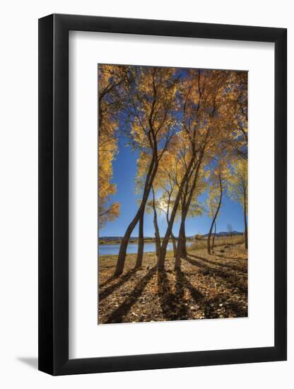 Skinny Fall-Bob Larson-Framed Art Print