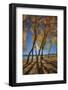 Skinny Fall-Bob Larson-Framed Art Print