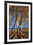 Skinny Fall-Bob Larson-Framed Art Print