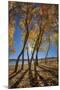 Skinny Fall-Bob Larson-Mounted Art Print