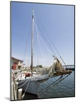 Skipjack Sailing Boat, Chesapeake Bay Maritime Museum, St. Michaels, Maryland, USA-Robert Harding-Mounted Photographic Print