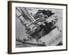 Skipper Jock Sturrock at the Helm of Pattie During America's Cup Trials-null-Framed Photographic Print