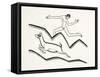 Skipping Upon the Mountains, 1925-Eric Gill-Framed Stretched Canvas