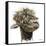 Skippy the Alpaca-Angela Bawden-Framed Stretched Canvas