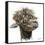 Skippy the Alpaca-Angela Bawden-Framed Stretched Canvas